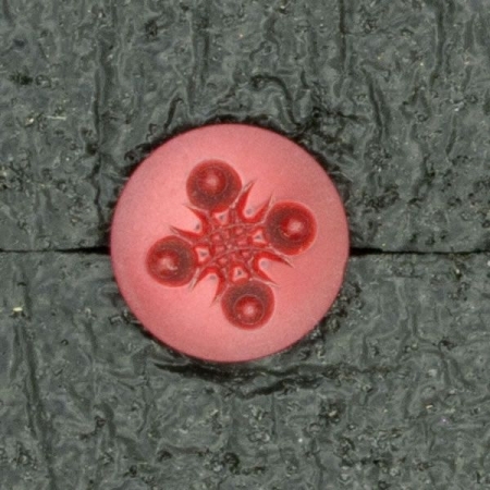 Ref001686 Botón Redondo en color burdeos