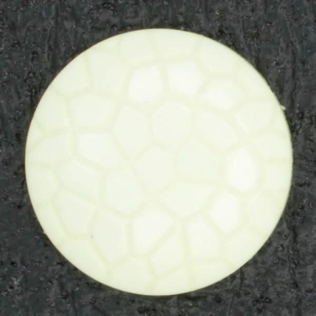 Ref001920 Botón Redondo en color beige