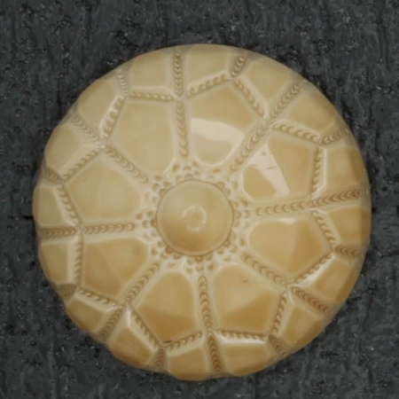 Ref001946 Botón Redondo en color marron