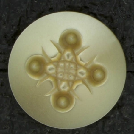 Ref002982 Botón Redondo en color marron