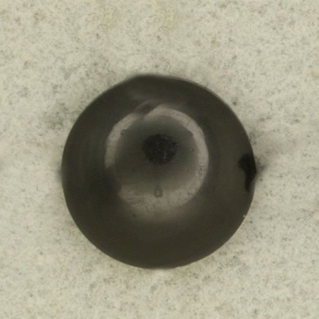 Ref003131 Botón Redondo en color negro